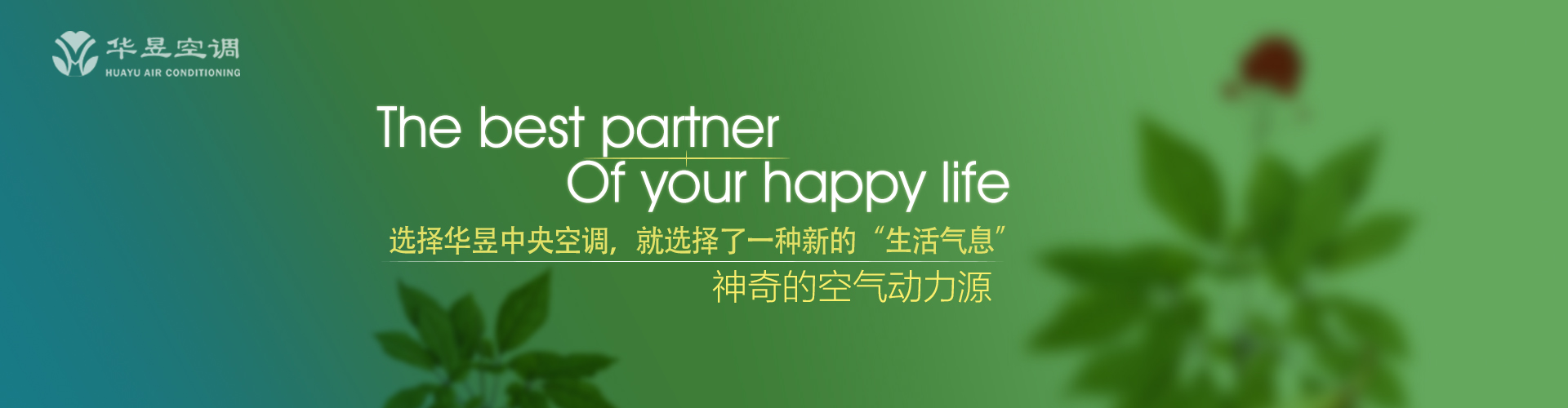 王侯将相网